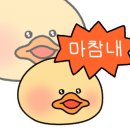 키므안나 이미지