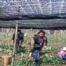 현기농장 이미지