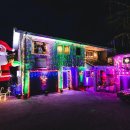 Christmas Light Trail 크리스마스 장식 구경 가세요^^ [타우랑가 비전유학원] 이미지