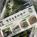 삼육사로25 | [스토어팜] 양주농부이범석 클로렐라쌈채소 600g 쩝쩝후기