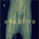 우리애동물병원 이미지