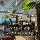 힐링천사약국 | 고속터미널역 대형카페 랑데자뷰, 고터역소개팅 하기 좋은 고속터미널 한적한 카페