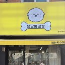 댕냥이 점빵 이미지