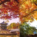궁궐과 단풍이 최고의 조화를 이루는 곳 가볼만한 서울 여행 이미지