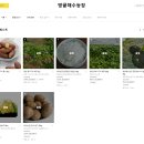땅끝매실농장 | 8월 19일 6시 내고향 해남 고구마 전남 해남 땅끝해수농장 택배 주문 방법 총정리