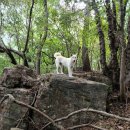 큰바위농장 이미지