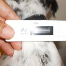 박순복동물병원 이미지