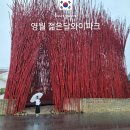 SY하나로유통 | 젊은달와이파크 주차장 영업시간 입장료 할인 강원도 영월 가볼만한곳 실내 전시장 데이트