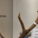 운양한의원 이미지