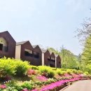 국립유명산자연휴양림 이미지