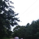 모화태권도장 이미지