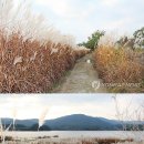 ▶자연과 생활 (2014/10월/5째주) 이미지