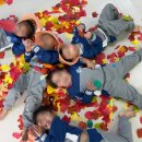 단비어린이집 이미지