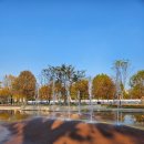 용산-379 이미지