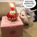 하고메
