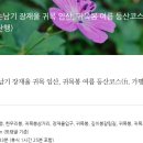 희여울과 꽃나예 이미지