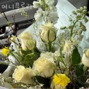 여니플로라 이미지