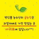 배동문농장 이미지