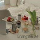 스타피드 이미지