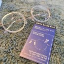 안경박사렌즈미 | 숙대 안경점 렌즈미 글라스미 안경 숙대점 안경테를 사면 안경렌즈 무료