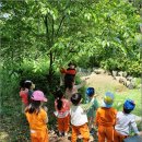 남서울어린이집 이미지