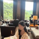 더캐시미어 칼라 돌먼 슬리브 자켓 후기 | 한 달 기다려 받은 아이보리