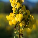 윤스공방 이미지