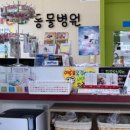 아나파동물병원 이미지