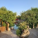 생기약국 이미지