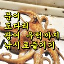 피어싱실내낚시터 | 문어 낚시하고 광어 우럭 도다리 회먹고 인천락실내바다낚시터