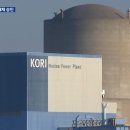 상업용 47 이미지