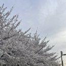 앞산387 이미지