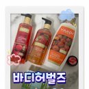 천연화장품 바디허벌즈 페이스 워시와 보디워시, 립밤 사용 후기