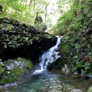 성수산자연휴양림 이미지