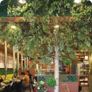 못된송아지 5,500 소갈비살 이미지