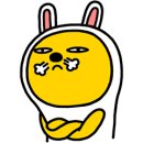 돌핀수상레저 이미지