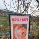 김포피부관리 - 벨리사뷰티에서 미백관리 받았어요