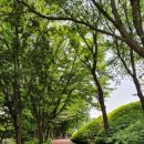 도장공원길 이미지