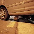 낭만고양이 이미지