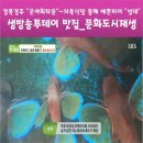 도시회타운