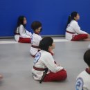 고려용호태권도 이미지