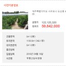 도순동-1 이미지