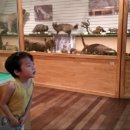 경북대학교 자연사박물관 이미지