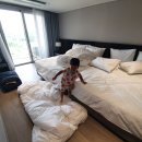 덕산 게임장 이미지