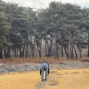 오로라승마장 이미지