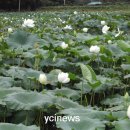 봉서농장 이미지