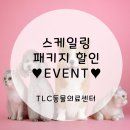 TLC 동물의료센터 이미지