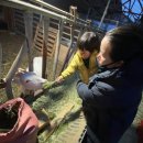 오르목장 이미지