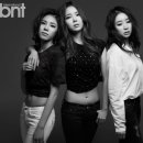 스텔라