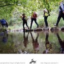 수도유치원-1구간 | &lt;객주&gt; 김주영 소설가의 문학혼을 되살린, 울진 금강소나무숲길 _ 여행작가 김용일